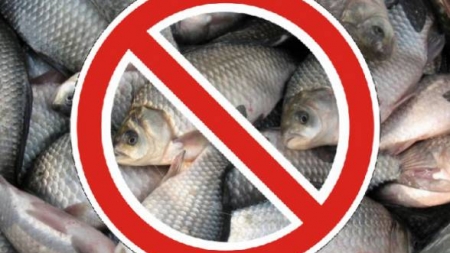 На Черкащині почала діяти заборона на вилов риби у зимувальних ямах