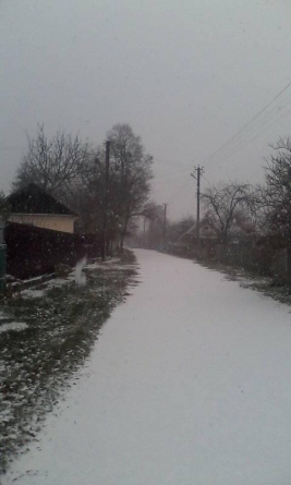Перший сніг випав на Черкащині (фото)