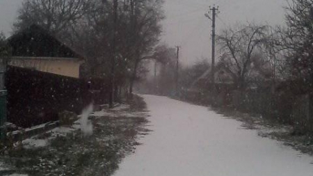Перший сніг випав на Черкащині (фото)