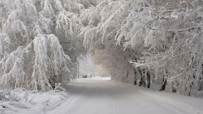 Синоптики повідомили, де на Черкащині випало більше снігу