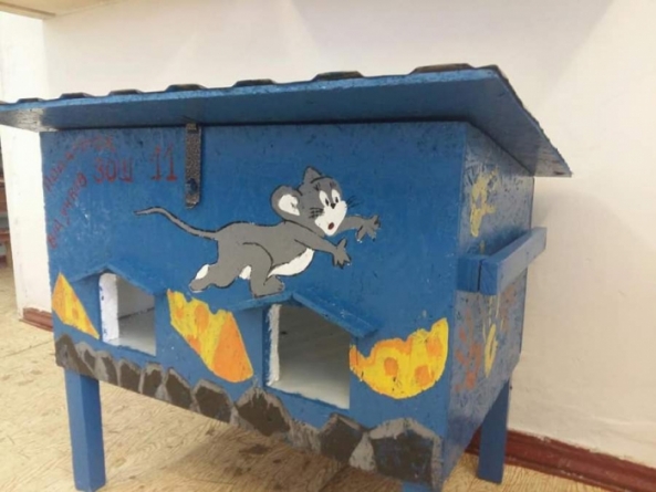 Уманські школярі збудували будиночки для бездомних тварин