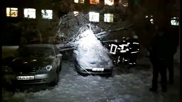 У Черкасах рятувальники звільняли авто з-під дерев (фото, відео)