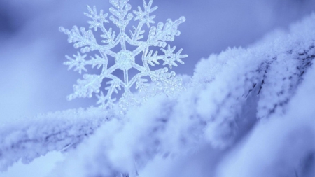 Де на Черкащині найбільше випало снігу?