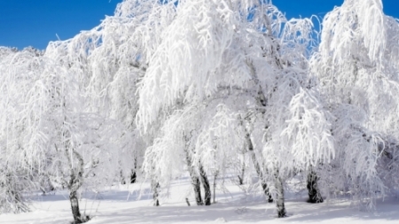 На Черкащині насипало рекордно багато снігу