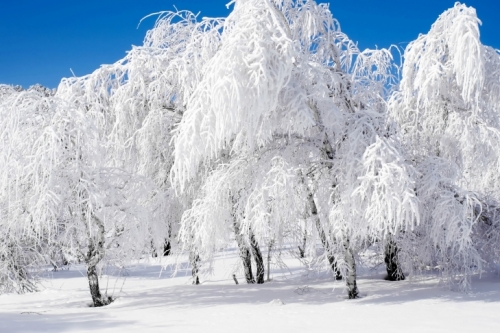 На Черкащині насипало рекордно багато снігу