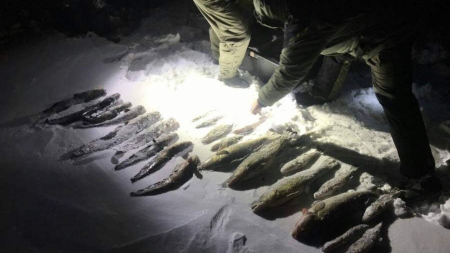У Липівському орнітологічному заказнику упіймали браконьєрів, які виловили більше 30 кг риби