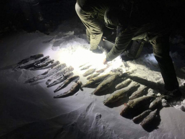 У Липівському орнітологічному заказнику упіймали браконьєрів, які виловили більше 30 кг риби