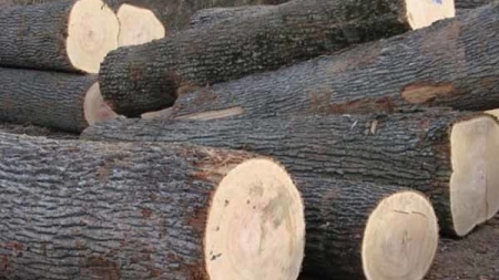 Черкащанин викрадав дрова зі школи