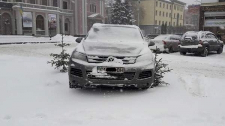 У Черкасах водій припаркував авто на клумбі з ялинками (фотофакт)