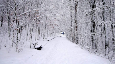 Неймовірна краса: у мережі показали фото зимового парку Софіївка