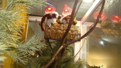 Новорічні ялинки прийшлися до смаку мешканцям Черкаського зоопарку