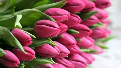 У Черкасах визначили, де торгуватимуть квітами до МІжнародного жіночого дня