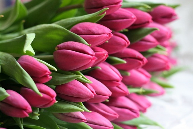 У Черкасах визначили, де торгуватимуть квітами до МІжнародного жіночого дня