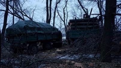 На Христинівщині виявили незаконну порубку лісу (фото)