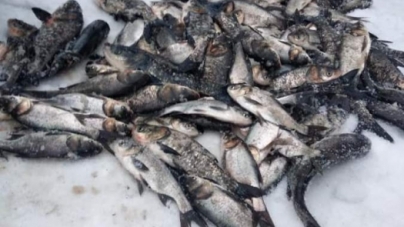 На Черкащині браконьєри виловили 144 малька товстолобу (фото, відео)