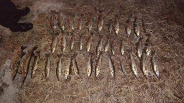 У Черкасах браконьєри ловили рибу на «павука»