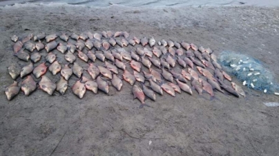 На Черкащині виявили сітки з рибним уловом більш ніж на 32 тис. гривень