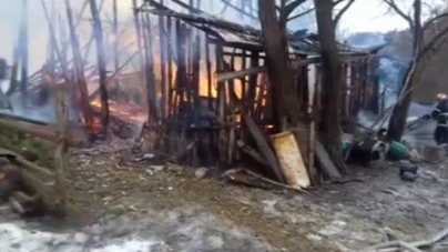 На Черкащині пожежа знищила 5 т сіна та 2 т зерна пшениці (відео)
