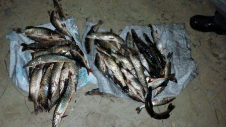 На Канівщині місцевий житель незаконно наловив риби на 18 тисяч гривень