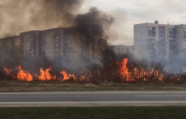 На Черкащині зросла кількість пожеж сухої трави