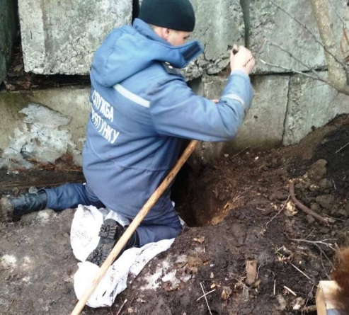 У Чорнобаї з-під бетону врятували цуценят (фото)