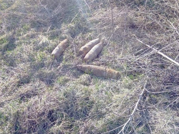 На Черкащині сапери знищили 5 боєприпасів