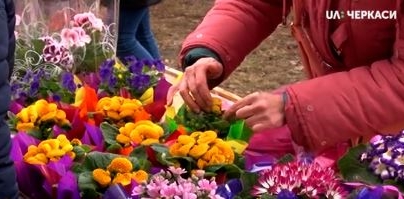 Центр Черкас перетворився на справжній квітник (відео)
