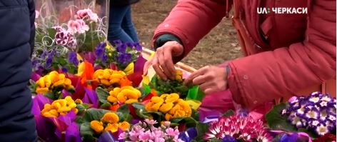 Центр Черкас перетворився на справжній квітник (відео)