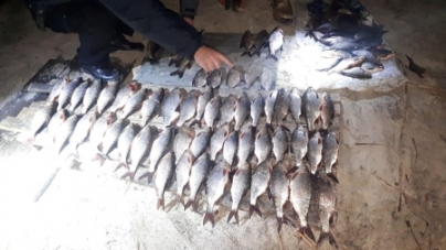 Черкаські браконьєри виловили риби на понад 11 тис. гривень