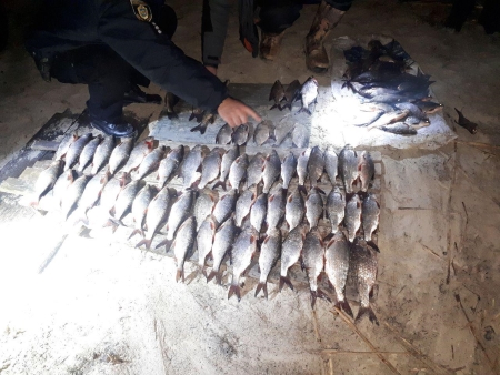 Черкаські браконьєри виловили риби на понад 11 тис. гривень