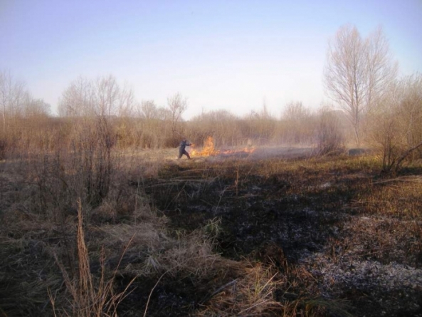 На Черкащині рятувальники шість разів гасили пожежі сухої трави (фото)
