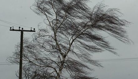 130 населених пунктів на Черкащині були знеструмлені через сильний вітер