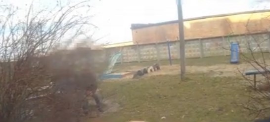 У Черкасах п’яні чоловіки вигулювали бійцівську собаку на дитячому майданчику (відео)