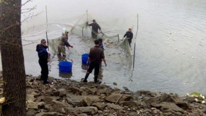 На Уманщині порушник нарибалив на 128 тис збитків