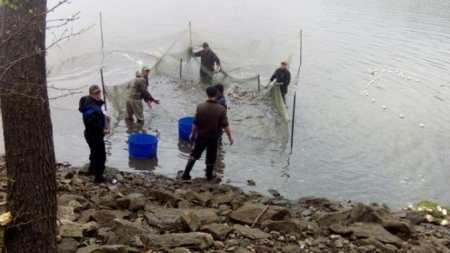 На Уманщині порушник нарибалив на 128 тис збитків