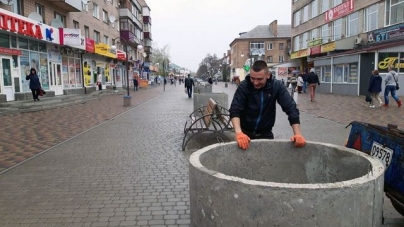 У Смілі висаджують кленову алею