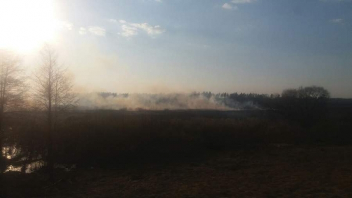 За добу на екосистемах Черкащини було ліквідовано 13 пожеж
