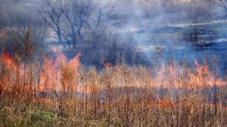 Черкаські рятувальники ліквідували пожежу сухої трави