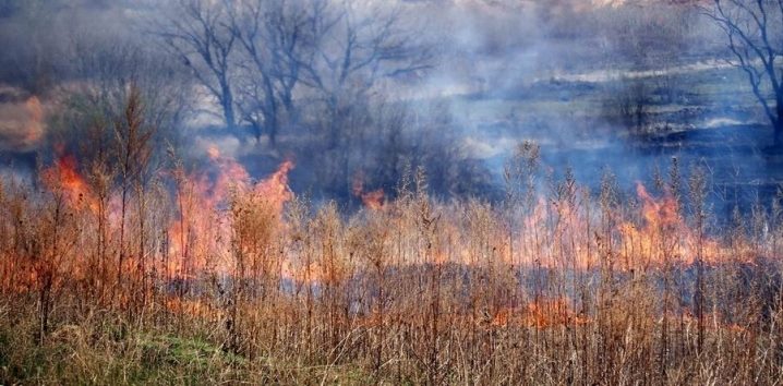 Черкаські рятувальники ліквідували пожежу сухої трави