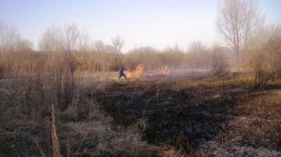 За добу на Черкащині ліквідовували 6 пожеж в екосистемах