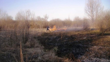 За добу на Черкащині ліквідовували 6 пожеж в екосистемах