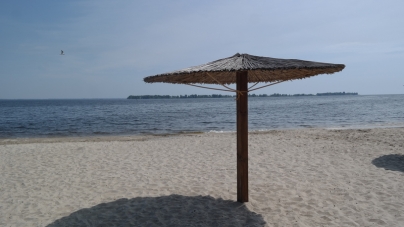 Чи готові черкаські пляжі до купального сезону, дослідила комісія