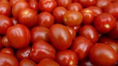 На Черкащині затримали вантаж заражених помідорів