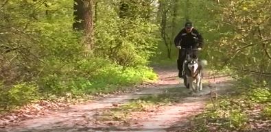 Із собакою і на велосипеді: черкаські спортсмени повернулися зі змагань з байкджорінгу