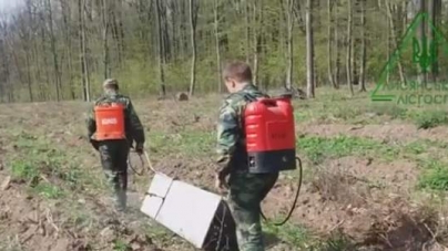 На Черкащині лісівники створили унікальний пристрій для догляду за лісовими культурами (відео)