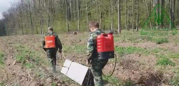 На Черкащині лісівники створили унікальний пристрій для догляду за лісовими культурами (відео)