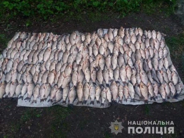 На Смілянщині браконьєри незаконно виловили понад 200 карасів