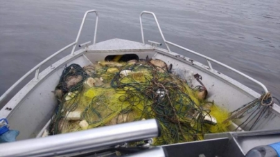 На Черкащині незаконно наловили риби на більш ніж 24 тис. гривень