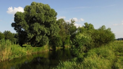 Чи небезпечною для черкащан є аварія з хімікатами на річці Рось, розповів еколог