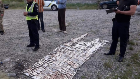 Рибних браконьєрів, які завдали збитків на 65 тис.грн., затримали на Черкащині